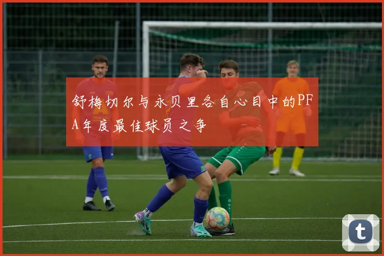 舒梅切尔与永贝里各自心目中的PFA年度最佳球员之争